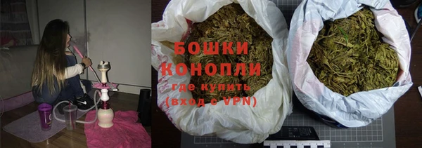 индика Аркадак