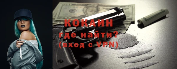 индика Аркадак