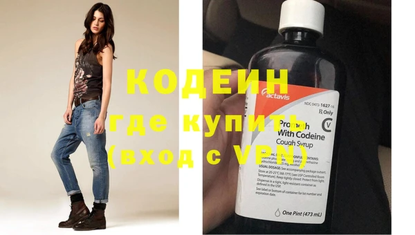 индика Аркадак