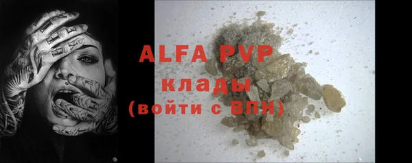индика Аркадак