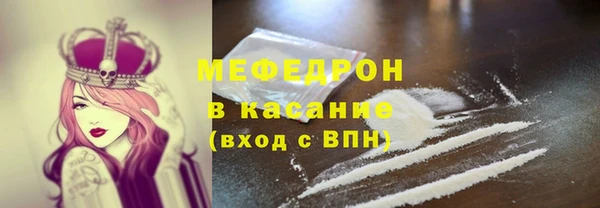 индика Аркадак