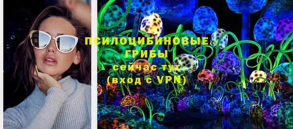 эйфоретик Новодвинск