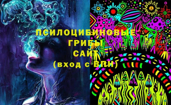 МДПВ Армянск