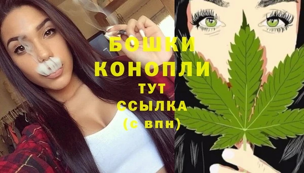 индика Аркадак