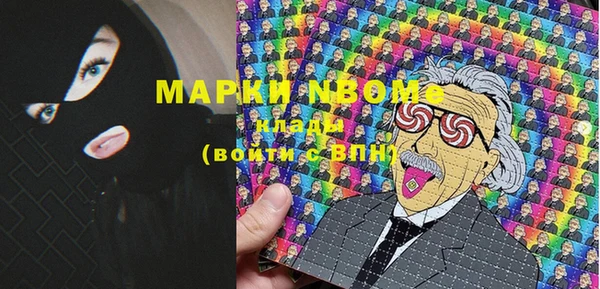 соль ск Новозыбков